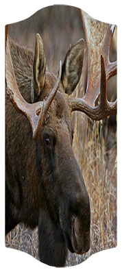 Gone Hunting (Moose)